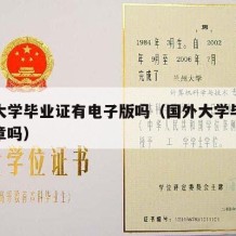 国外大学毕业证有电子版吗（国外大学毕业证有公章吗）