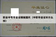 职业中专毕业证模板图片（中职毕业证长什么样）