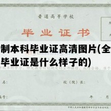 全日制本科毕业证高清图片(全日制本科毕业证是什么样子的)