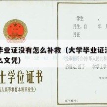 大学毕业证没有怎么补救（大学毕业证没拿到算什么文凭）