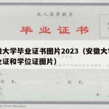 安徽大学毕业证书图片2023（安徽大学的毕业证和学位证图片）