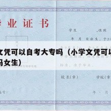 小学文凭可以自考大专吗（小学文凭可以自考大专吗女生）