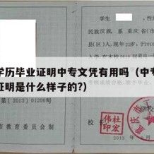 中专学历毕业证明中专文凭有用吗（中专毕业学历证明是什么样子的?）