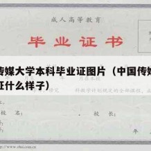 中国传媒大学本科毕业证图片（中国传媒大学毕业证什么样子）