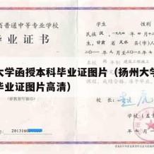 扬州大学函授本科毕业证图片（扬州大学函授本科毕业证图片高清）