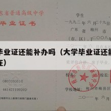 大学毕业证还能补办吗（大学毕业证还能补办吗现在）