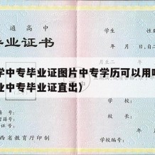 中医学中专毕业证图片中专学历可以用吗（中医专业中专毕业证直出）