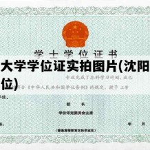 沈阳大学学位证实拍图片(沈阳大学二学位)