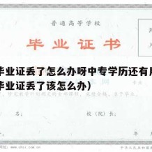 中专毕业证丢了怎么办呀中专学历还有用吗（中专毕业证丢了该怎么办）