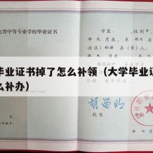 大学毕业证书掉了怎么补领（大学毕业证书丢失怎么补办）