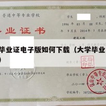 大学毕业证电子版如何下载（大学毕业证 电子版）