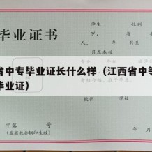 江西省中专毕业证长什么样（江西省中等职业学校毕业证）