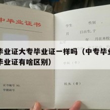 中专毕业证大专毕业证一样吗（中专毕业证和大专毕业证有啥区别）