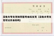 没有大专文凭如何报考本科文凭（没有大专文凭可以升本科吗）