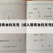 成人教育本科文凭（成人教育本科文凭国家承认吗）