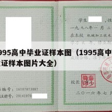 1995高中毕业证样本图（1995高中毕业证样本图片大全）