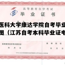 南京医科大学康达学院自考毕业证高清样图（江苏自考本科毕业证电子版图）