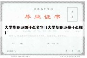 大学毕业证叫什么名字（大学毕业证是什么样）