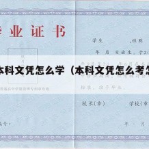 大学本科文凭怎么学（本科文凭怎么考怎样考）