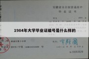 1984年大学毕业证编号是什么样的