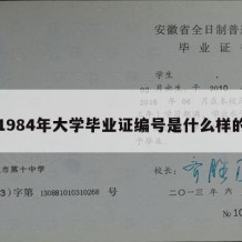 1984年大学毕业证编号是什么样的