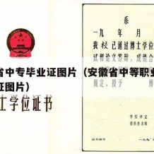 安徽省中专毕业证图片（安徽省中等职业学校毕业证图片）