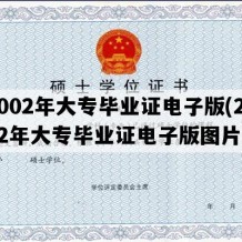 2002年大专毕业证电子版(2002年大专毕业证电子版图片)