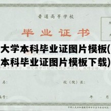 开放大学本科毕业证图片模板(开放大学本科毕业证图片模板下载)