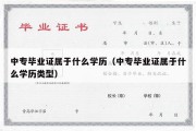 中专毕业证属于什么学历（中专毕业证属于什么学历类型）