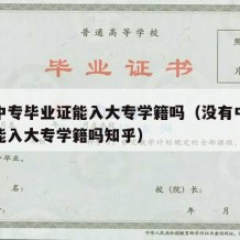 没有中专毕业证能入大专学籍吗（没有中专毕业证能入大专学籍吗知乎）