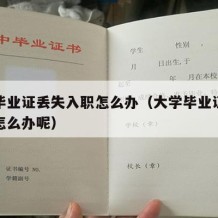 大学毕业证丢失入职怎么办（大学毕业证丢失入职怎么办呢）