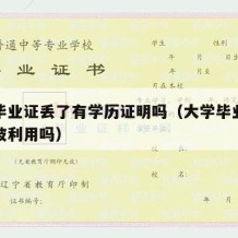 大学毕业证丢了有学历证明吗（大学毕业证丢了会被利用吗）