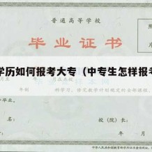 中专学历如何报考大专（中专生怎样报考大专）