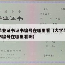 大学毕业证书证书编号在哪里看（大学毕业证书证书编号在哪里看啊）