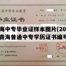 青海中专毕业证样本图片(2014年青海普通中专学历证书编号）