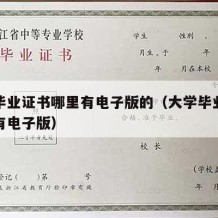 大学毕业证书哪里有电子版的（大学毕业证书有没有电子版）