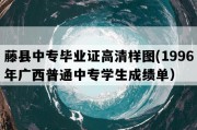 藤县中专毕业证高清样图(1996年广西普通中专学生成绩单）