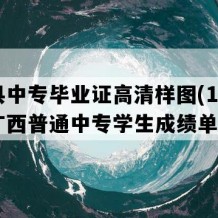 藤县中专毕业证高清样图(1996年广西普通中专学生成绩单）