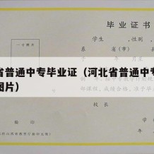 河北省普通中专毕业证（河北省普通中专毕业证书图片）