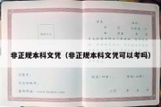 非正规本科文凭（非正规本科文凭可以考吗）