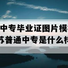 涟水县中专毕业证图片模板(1994年江苏普通中专是什么样子的）