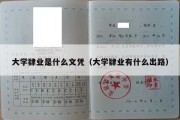 大学肄业是什么文凭（大学肄业有什么出路）