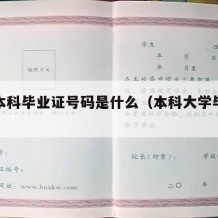 大学本科毕业证号码是什么（本科大学毕业证编号）