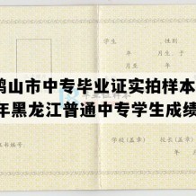 双鸭山市中专毕业证实拍样本(1992年黑龙江普通中专学生成绩单）