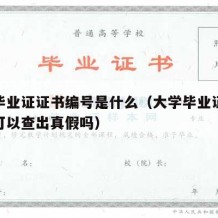 大学毕业证证书编号是什么（大学毕业证证书编号可以查出真假吗）