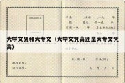 大学文凭和大专文（大学文凭高还是大专文凭高）