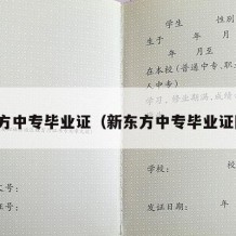 新东方中专毕业证（新东方中专毕业证图片）