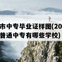 桂平市中专毕业证样图(2010年广西普通中专有哪些学校)