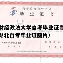 中南财经政法大学自考毕业证高清模板（湖北自考毕业证图片）