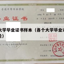 各个大学毕业证书样本（各个大学毕业证书样本图片）